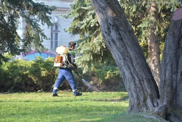 A început lupta cu căpuşele. Cum puteţi solicita intervenţia echipelor de deparazitare