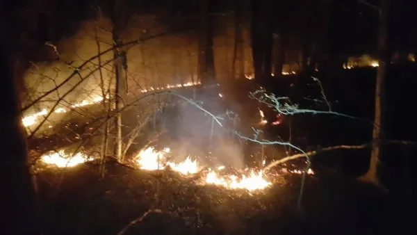 Foc în Pădurea Bogăţii, pe 8 hectare de teren