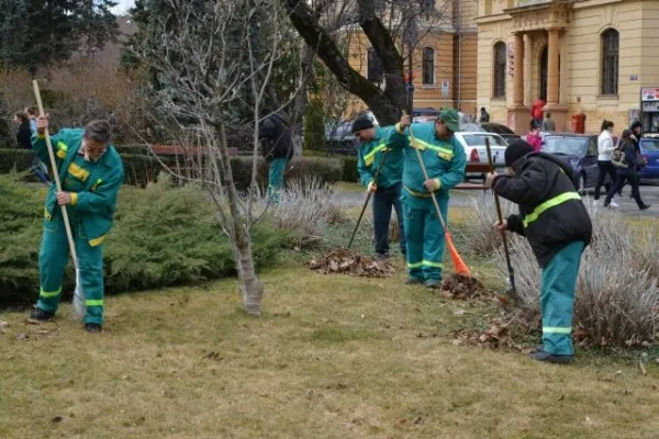 Firma de casă a Primăriei Constanţa va îngriji spaţiile verzi ale Braşovului. Aceasta ar urma să încaseze peste 11 milioane de euro, în 4 ani