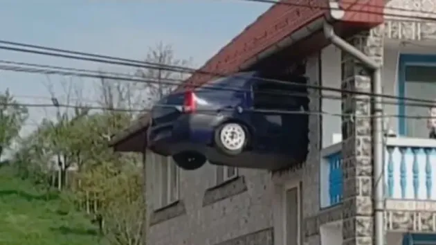 Gusturile nu se discută...