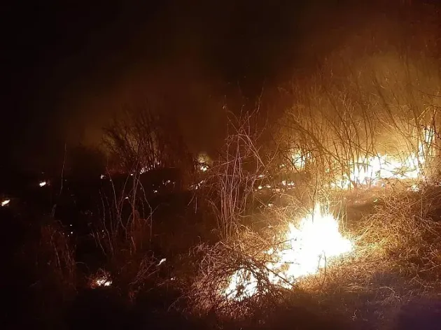 Au luptat cinci ore cu un incendiu de vegetaţie extins pe 12 hectare