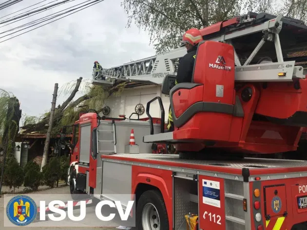 Copac căzut peste un restaurant