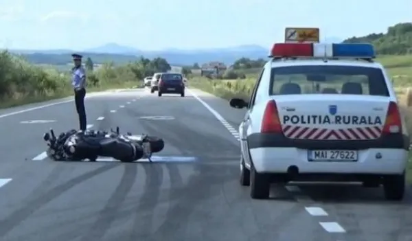 Căprioară lovită de un motociclist pe DN1. Animalul a murit pe loc, bărbatul, preluat de SMURD şi dus la spital