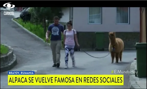Pablo Godină a devenit celebru şi în Columbia