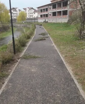 Alee cu ghinion: După corpuri de iluminat şi ghivece, au fost vandalizaţi ienupării