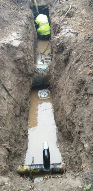 Încă un „Dorel”, dar pe Iuliu Maniu