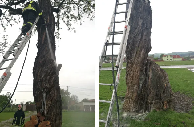 Furia naturii a lovit vineri seara la Hălchiu, Săsciori şi în Pădurea Bogăţii. Copac „aprins” de fulger, arbori şi stâlpi doborâţi de furtună