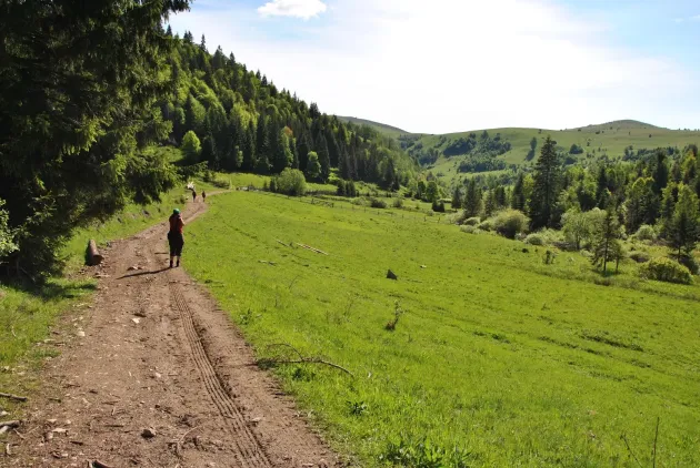 Turist străin rănit de urs, preluat cu elicopterul din Munţii Făgăraş