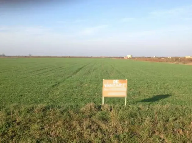 Raportat la suprafaţă, Braşovul are cel mai mult pământ vândut străinilor