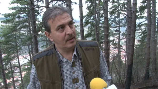 Pentru ursul de oraş, Braşovul pregăteşte „şcoala de corecţie”
