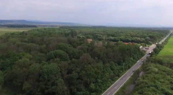 Castorii „au mâncat” o pădure din Lunca Câlnicului. 40 de hectare