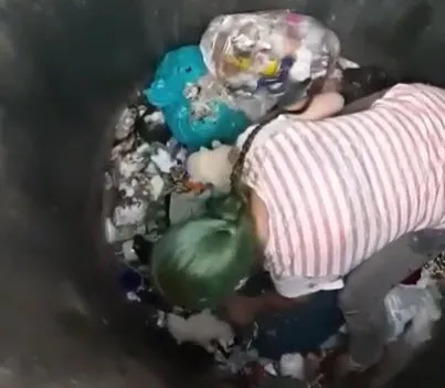Pui de câine, aruncați în tomberon