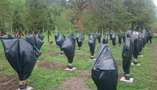Bătălia de la Valea Uzului, importanţa bătăliilor din 1916 pentru poporul român