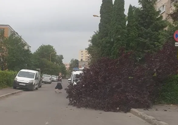 Vijelie peste judeţ: Casă lovită de fulger şi incendiată la Poiana Mărului, stradă blocată de un copac „tăiat” de rafalele de vânt