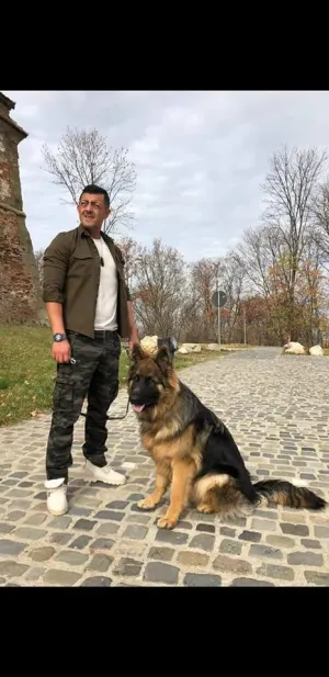 Consilierul local Sergiu Chifu se mută în PMP. Este al doilea fost PDL-ist plecat din PNL Braşov