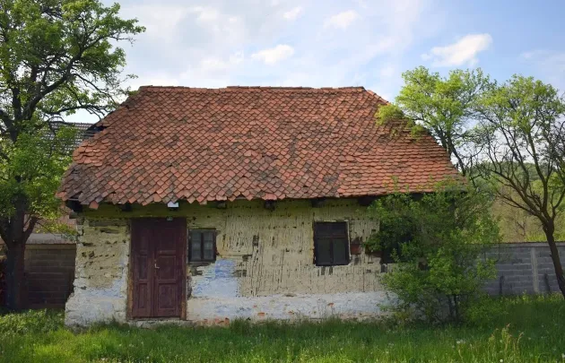 REconstruct 1.0: Şcoală de vară la Felmer, pentru liceeni
