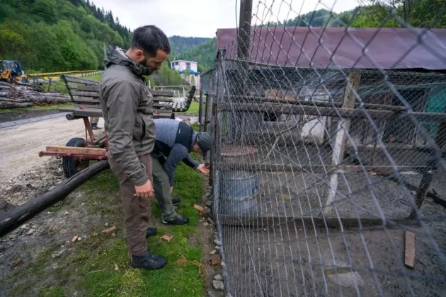 Prima echipă de intervenţie rapidă care va acţiona în cazul conflictelor om - animale sălbatice în zona Munţilor Făgăraş