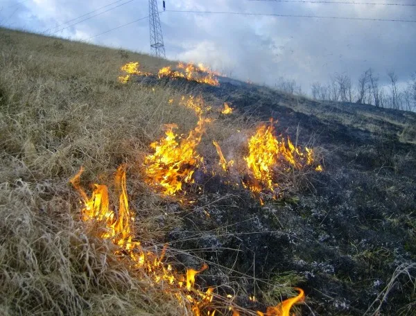 Arderea miriştilor, permisă doar în cazuri excepţionale şi cu „permis de foc” de la primărie