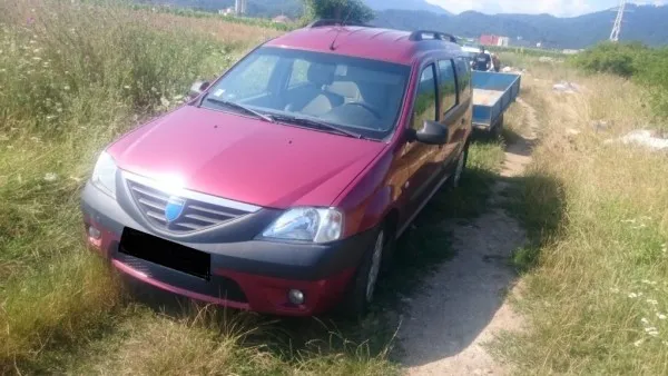Un şofer a fost amendat cu 3.000 de lei şi pus să-şi strângă gunoaiele  aruncate în zona Calea Bucureşti - Dârste - Decathlon