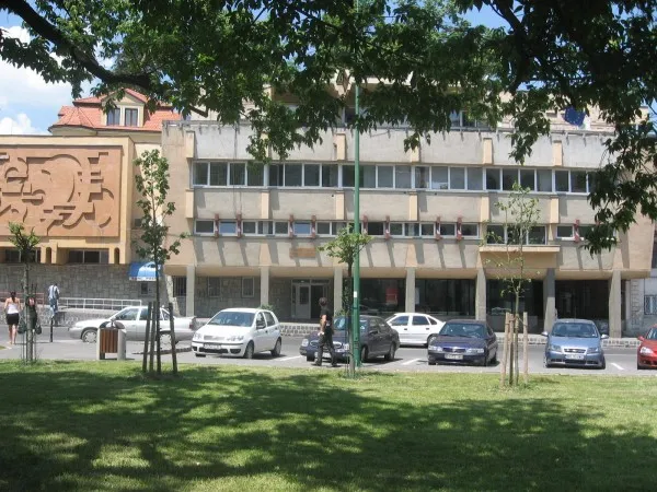 500 de absolvenţi şi-au depus dosarele la şomaj. Sunt mai mulţi faţă de anul trecut, când erau 130 de înscrişi