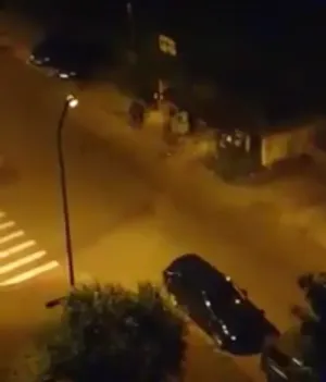 Sălbăticiunile au reînceput aprovizionarea şi în Răcădău