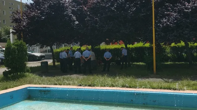Polițiștii locali, cursă de depistare a „aurolacilor”