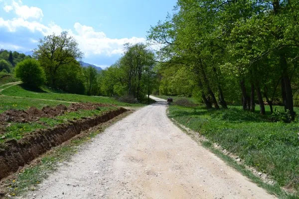 Ocolul Silvic caută un nou constructor pentru Drumul Cheişoara