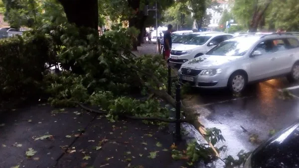 Explicaţia pentru „Ro-alerta ardelenească” de vreme rea, care a ajuns cu întârziere pe telefoane, după ce furtuna se domolise