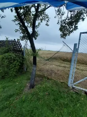 Un urs a făcut ravagii la Mărgineni