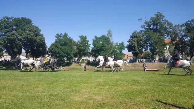 Caii de la Sâmbăta, show la Cetatea Făgărașului