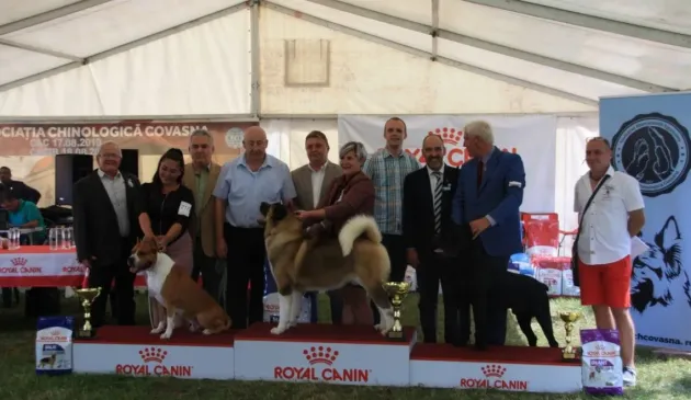 Peste 300 de câini la Covasna Dog Show 