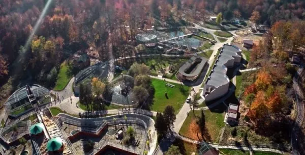 Una dintre clădirile din incinta Zoo a început să se degradeze