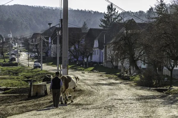 După 25, autobuzele ajung la Viscri. Licenţa de transport public a fost adjudecată de Transbus SA