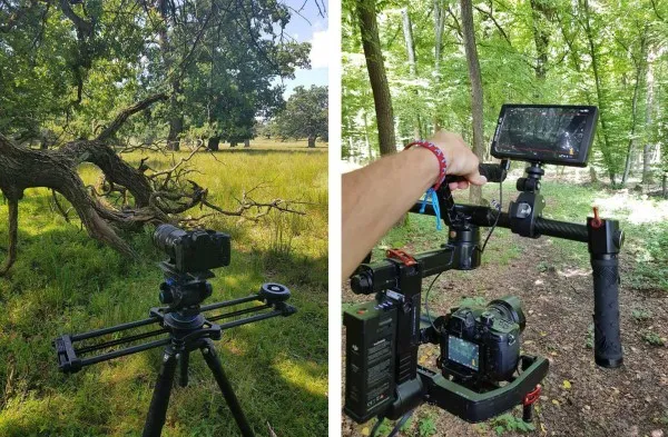 Săptămâna Ariilor Protejate vine cu acţiuni inedite: o cafea la bird-watching, recoltare de ADN de la cerb, plimbări în pădurea virgină