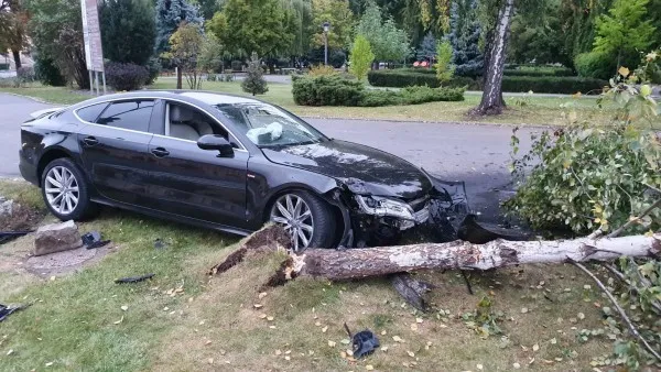 A băut şi a parcat... în copacul din centru