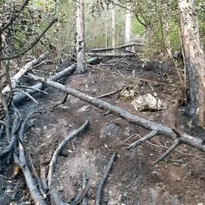 Un mic muc de ţigară a provocat un mare incendiu în Şchei
