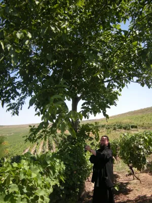Sâmbătă, de Ziua Crucii, se sfiinţesc monedele şi se bat nucii