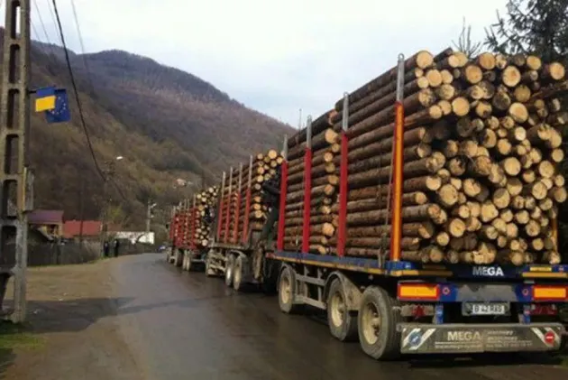 80 de căruţe şi 40 de autovehicule oprite, într-o razie în zona Babarunca