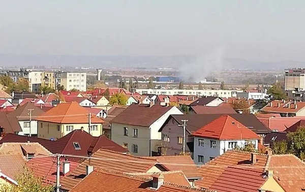 După Protan, codlenii au parte de o altă sursă de mirosuri