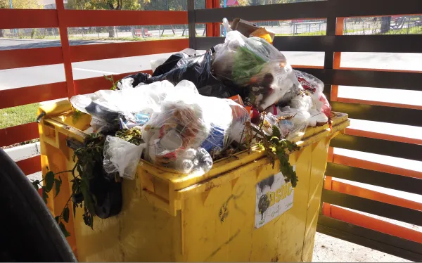 Reciclarea şi colectarea selectivă începe cu depozitarea separată a deşeurilor