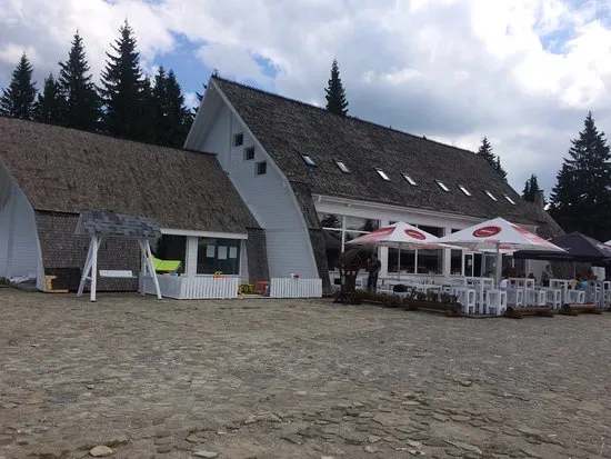 Un grup de turişti a ajuns doar cu escorta jandarmilor la o cabană din Predeal, după ce un urs a „blocat” drumul