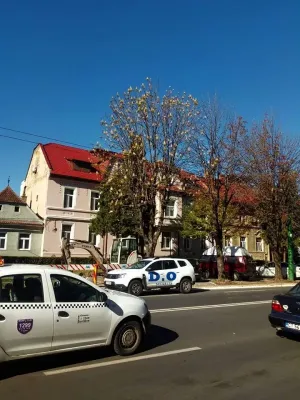 Ciudatul Braşov: Castani înfloriţi pe Castanilor, vaca de pe drumul Poienii şi gheizerul de pe Lânii