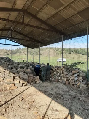 Lemn de foc confiscat dintr-un depozit din Măieruş