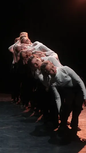 Cum arată dansul contemporan vedeţi la Perform(d)ance, la sfârşitul lunii