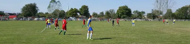 Liga 5, rezultate şi clasamente