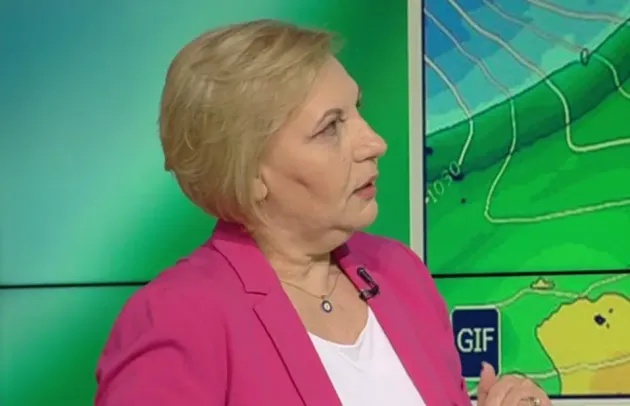 Declaraţii despre iarnă