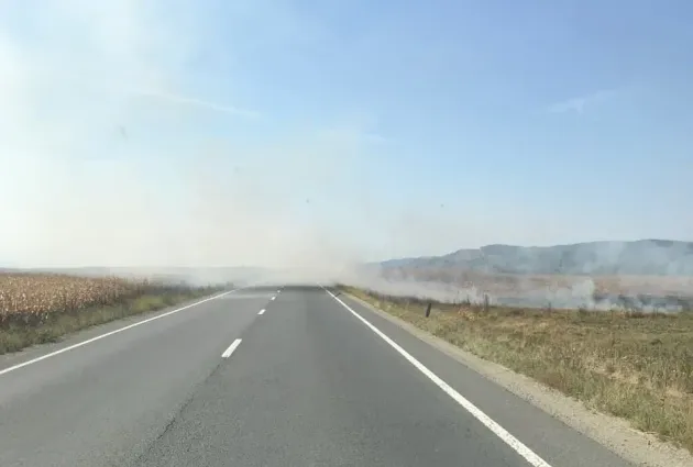 Incendiu în lanul de porumb