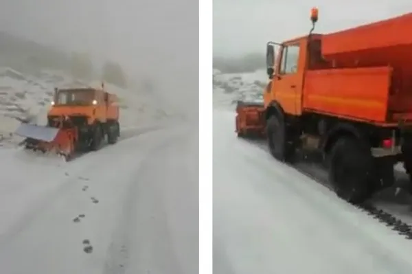 Iarna a început să-şi facă simţită prezenţa în vârf de munte. Urşii coboară la oraş: două alerte, duminică seara