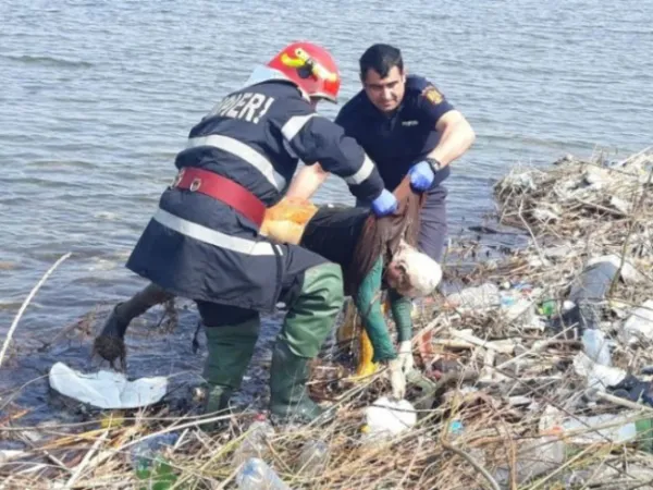 Bărbat dispărut de acasă din 5 noiembrie, găsit ieri înecat în Olt