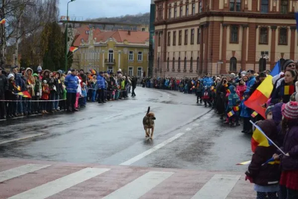 Peste 3.000 de steaguri în Braşov, de 1 Decembrie  